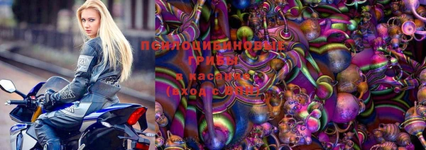 ешки Бородино