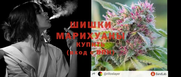 ешки Бородино