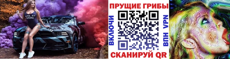 нарко площадка как зайти  Бородино  Псилоцибиновые грибы мицелий 